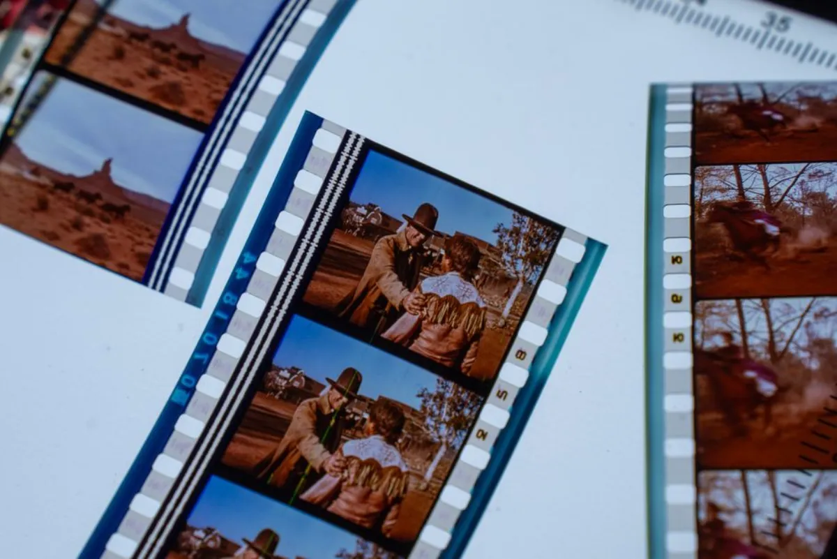 cinema study